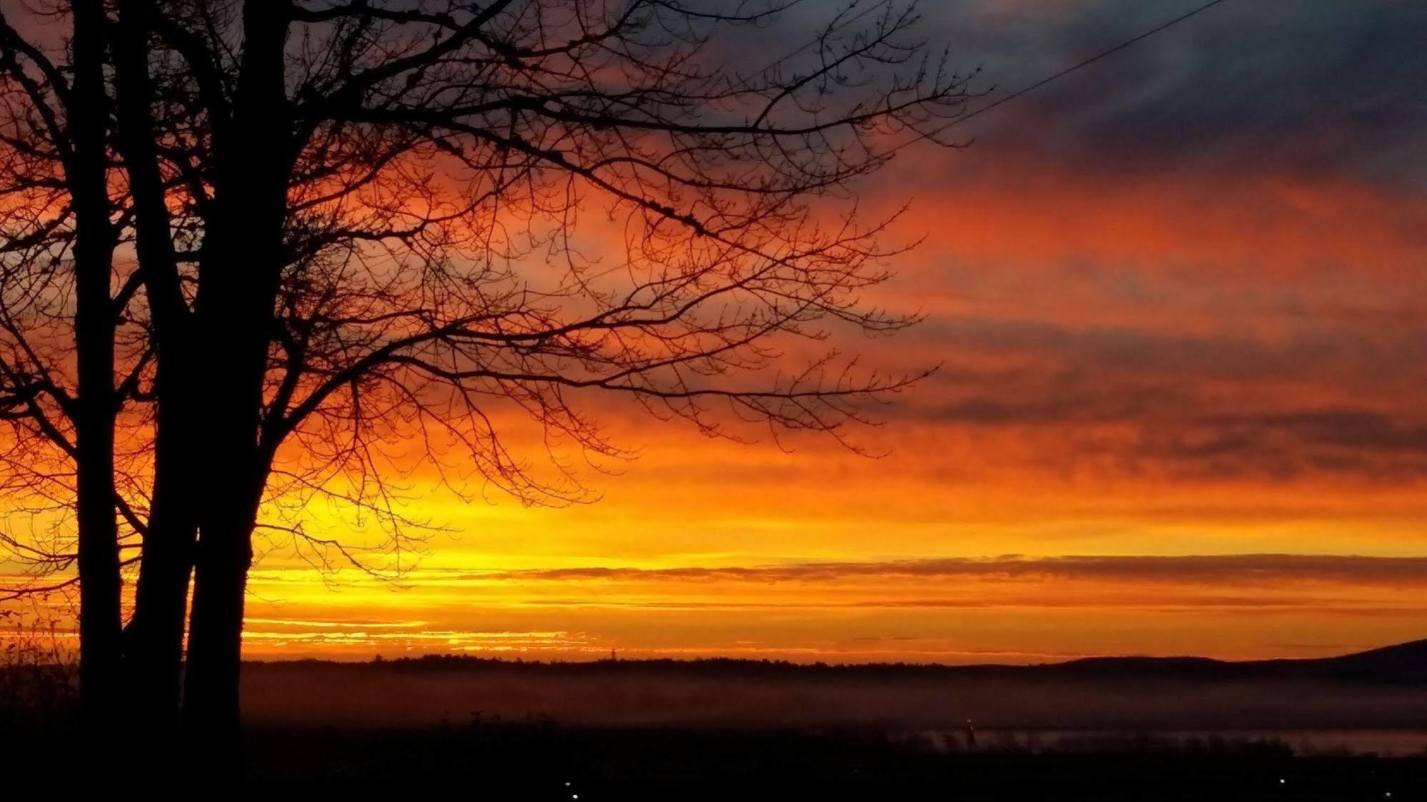 Acadia Sunrise Motel Trenton Kültér fotó